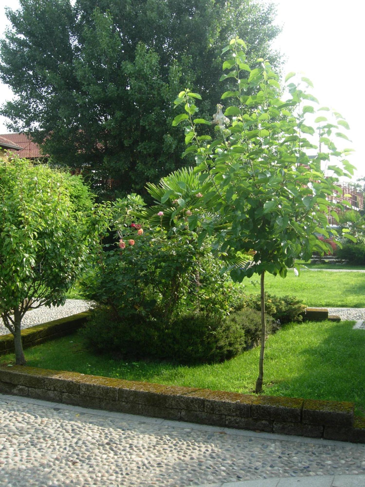 B&B Il Pioppo E La Fonte Castello d'Agogna Exterior foto